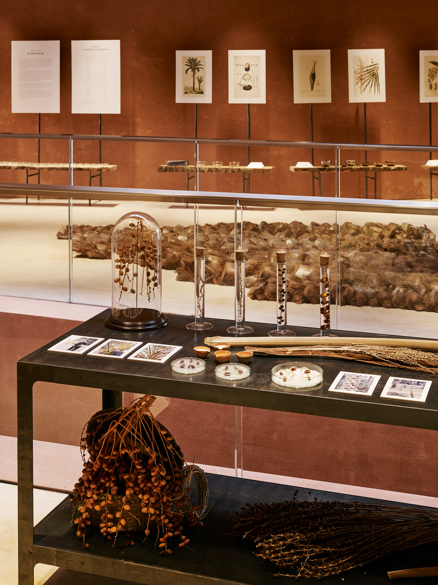 E15547 · Case Design · Exhibition Milano